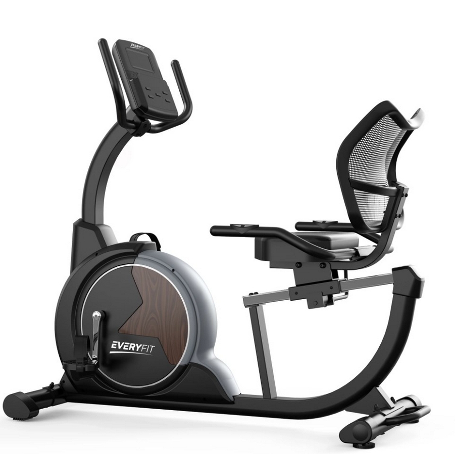 Велотренажер горизонтальный Everyfit ERB01 901_900