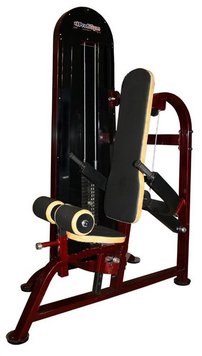

Жим книзу Брусья ProfiGym ТГ-0350-СР (Rubin)