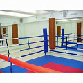 Ринг боксерский на растяжках Atlet 5х5 м, боевая зона 4х4 м, монтажная площадка 8х8 м IMP-A428 120_120