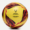 Мяч футбольный Jogel Triumph Elite Winter р.5 120_120