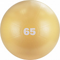 Мяч гимнастический d65 см Torres с насосом AL122165BG песочный 120_120