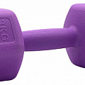 Гантели для фитнеса Sport Elite 1х3 кг H-103 фиолетовый 120_120