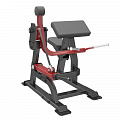 Бицепс Impulse SL7023 120_120