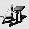 Бицепс-машина сидя UltraGym UG-713 120_120