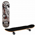 Скейтборд Alpha Caprice HG 508 120_120