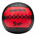 Медбол 5кг Insane IN24-WB100 красный 120_120