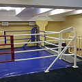 Ринг боксерский на упорах Atlet 5х5м, боевая зона 4х4 м, монтажная площадка 5х5 м IMP-A431 120_120