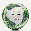 Мяч футбольный Jogel Triumph Elite YFL р.5 120_120
