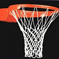 Сетка баскетбольная (шнуровая) 6 мм цвет белый ФСИ 090360 120_120