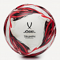 Мяч футбольный Jogel Triumph Elite р.5 120_120