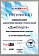 Сертификат на товар Батут Sport Elite с защитной сеткой внутрь, 1,37м GB30101-4.5FT салатовый